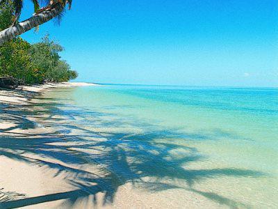 Отель Bedarra Island Great Barrier Reef Экстерьер фото